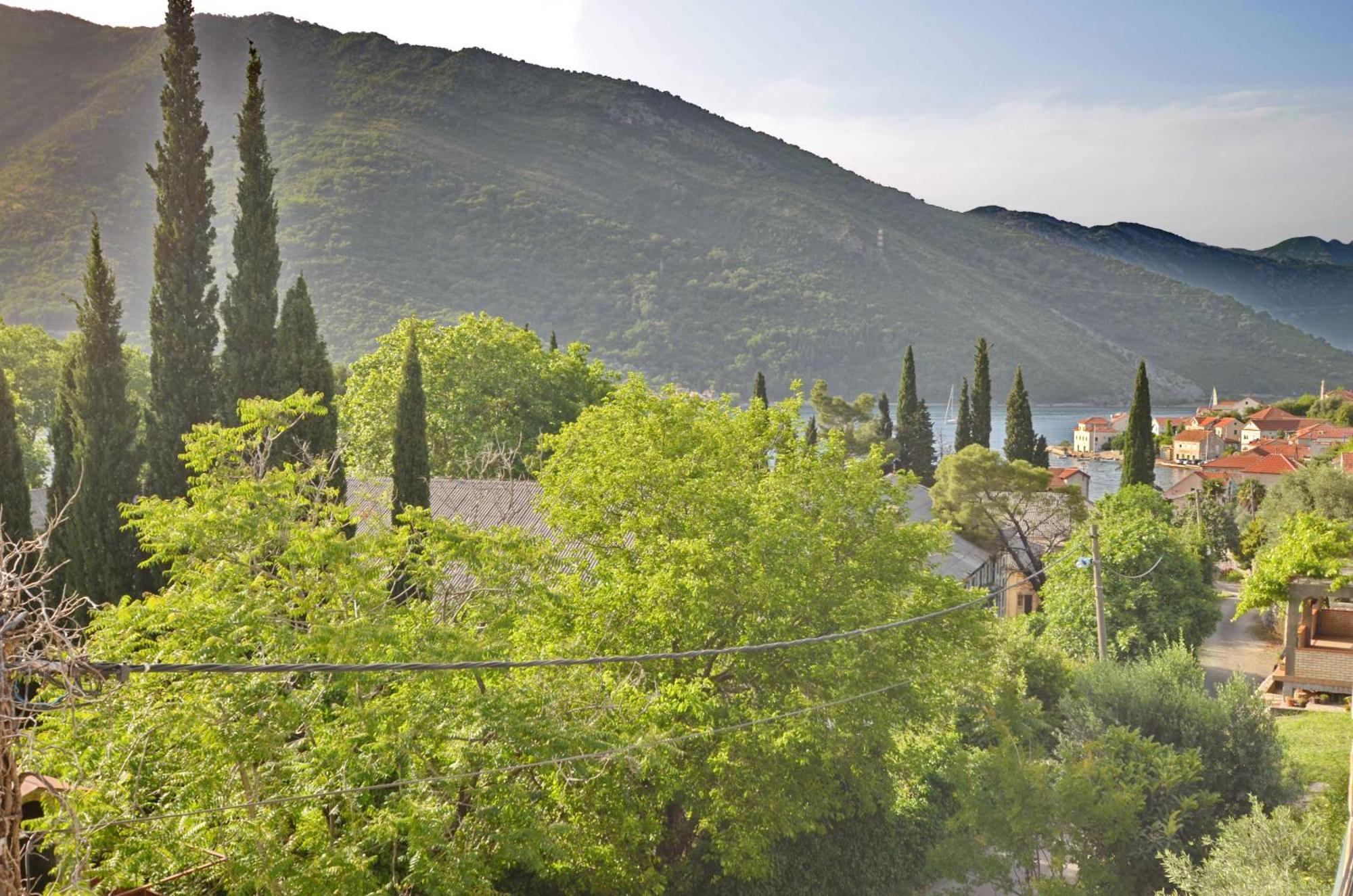 Apartments Dinko Zifra Tivat Habitación foto